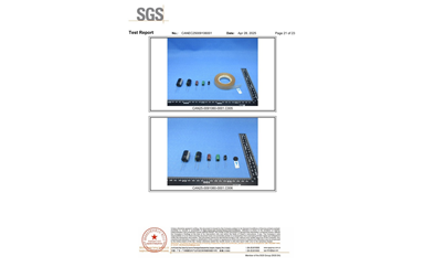 環(huán)保測試報告 ROHS+鹵素 CANEC25009106001
