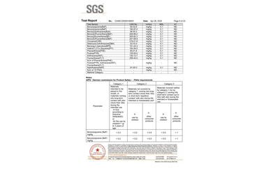 環(huán)保測試報(bào)告 ROHS+鹵素 CANEC25009106001