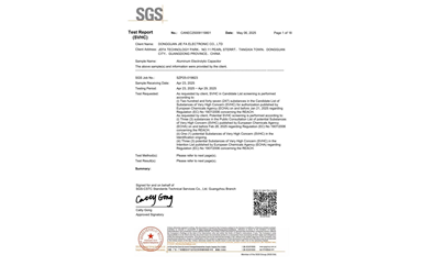 環(huán)保測試報告 SVHC CANEC25009119801