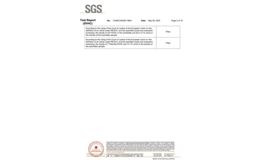 環(huán)保測試報告 SVHC CANEC25009119801