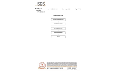 環(huán)保測試報(bào)告 SVHC CANEC25009119801