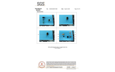 環(huán)保測試報(bào)告 SVHC CANEC25009119801